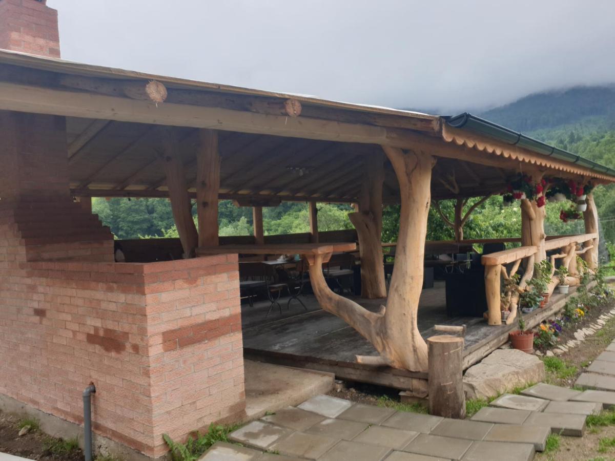 Casa Tucan Чахлэу Экстерьер фото